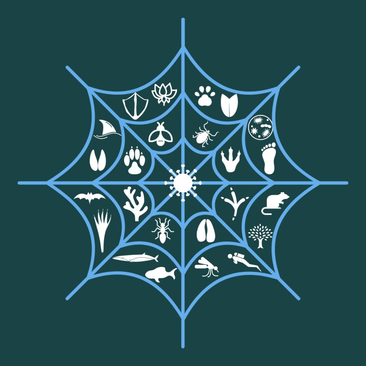 Webbing the Wild, LLC